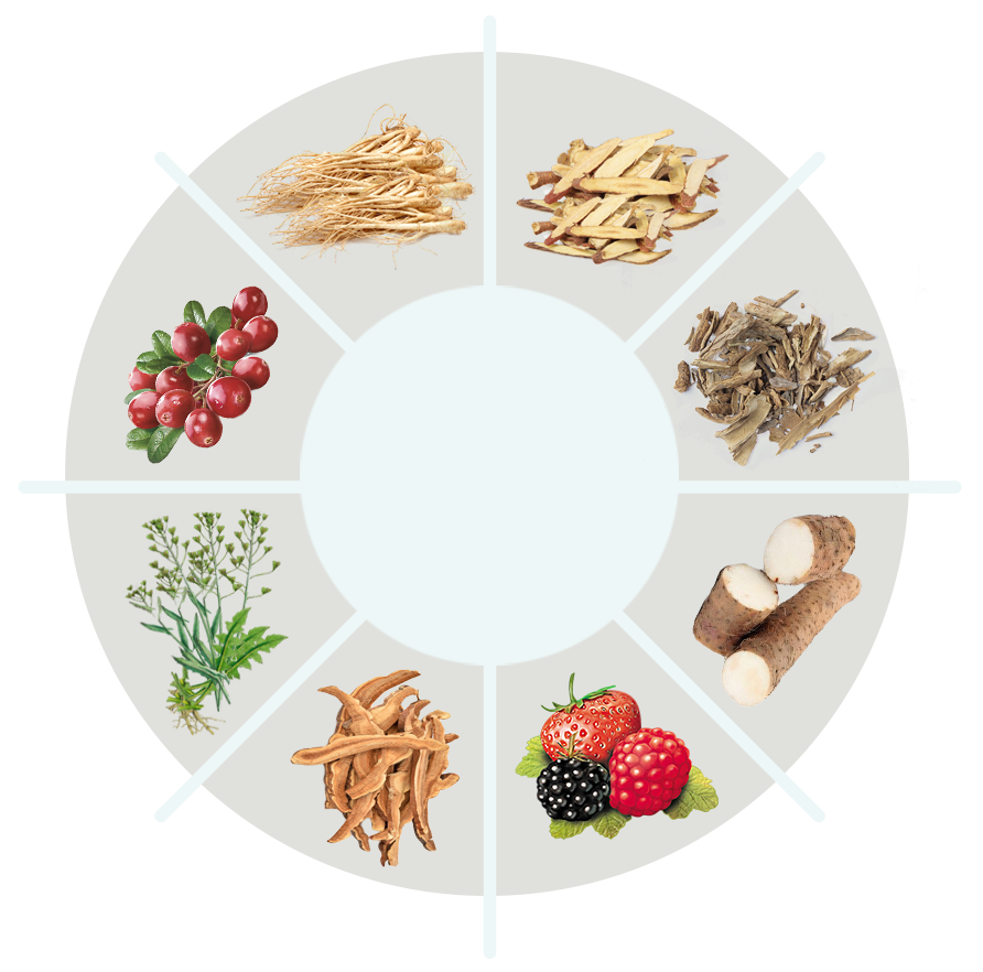 BioDentex ingredient circle with product